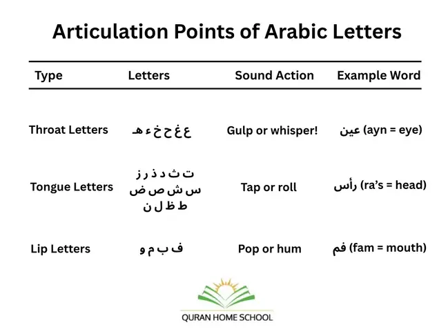 Articulation Points of Arabic Letters